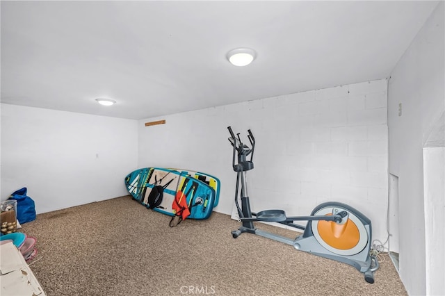 workout room with carpet floors