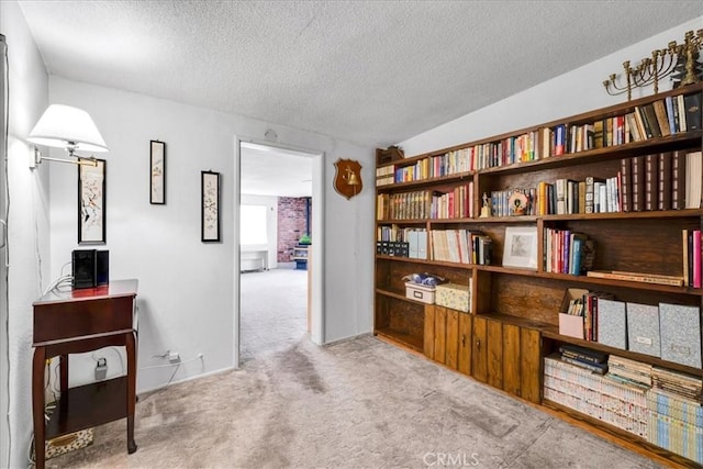 living area with a textured ceiling and carpet floors