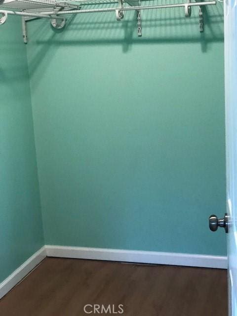 spacious closet featuring dark wood-type flooring