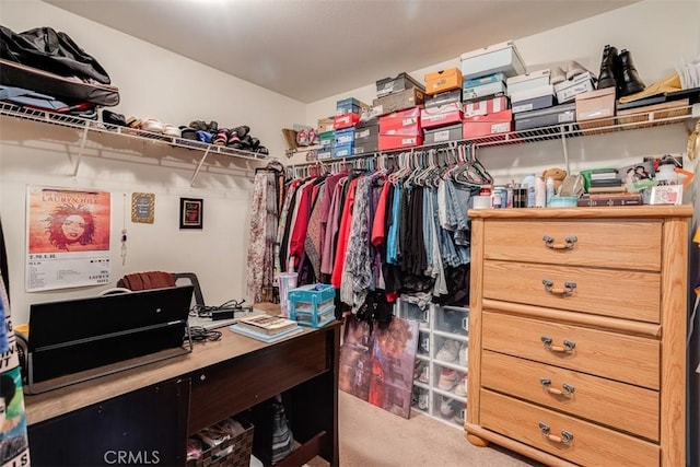11947 Forest Park Ln, Victorville, CA 92392 - spacious closet with carpet