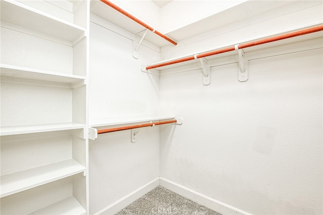 spacious closet with carpet floors