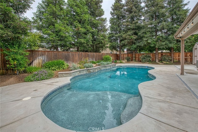 view of pool featuring a fenced backyard, a fenced in pool, and a patio area