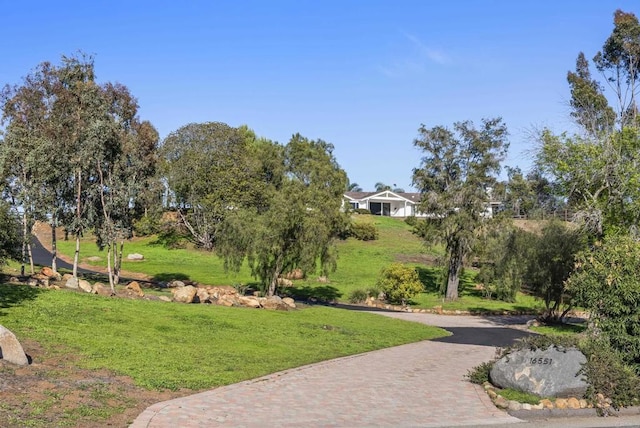 16551 Zumaque, Rancho Santa Fe, CA 92067 - photo 11
