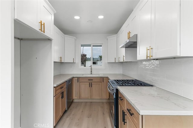 kitchen featuring a sink, under cabinet range hood, tasteful backsplash, light wood-type flooring, and appliances with stainless steel finishes