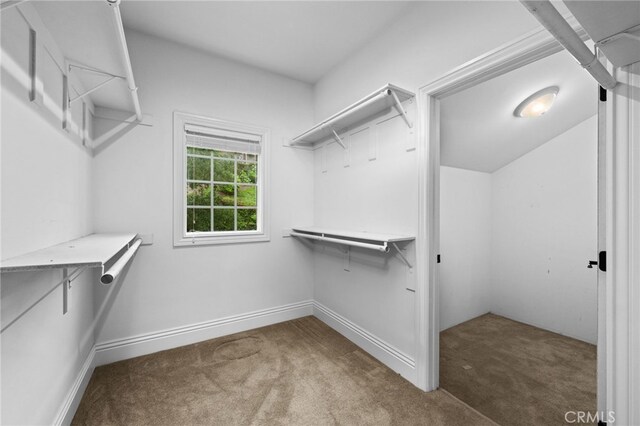 280 W 26th St, Upland, CA 91784 - spacious closet with carpet floors