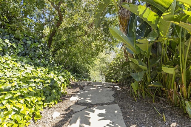 1820 Ramona Dr, Camarillo, CA 93010 - view of street