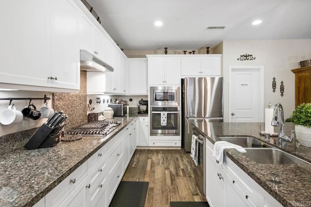 kitchen with a sink, stainless steel appliances, white cabinetry, and under cabinet range hood