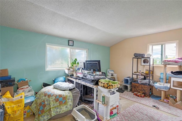 24851 Stem Ave, Lake Forest, CA 92630 - home office with vaulted ceiling, carpet flooring, and a textured ceiling