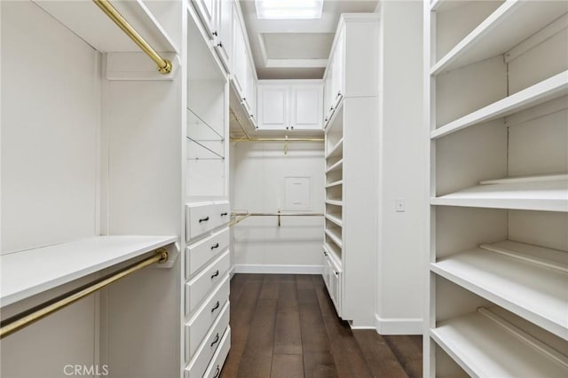 spacious closet featuring dark wood finished floors