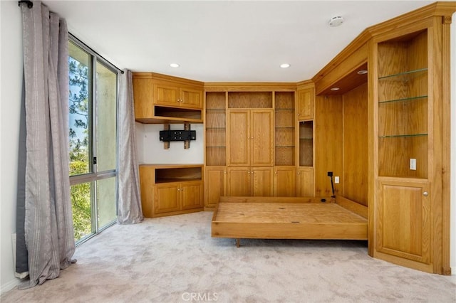 mudroom featuring light colored carpet and recessed lighting