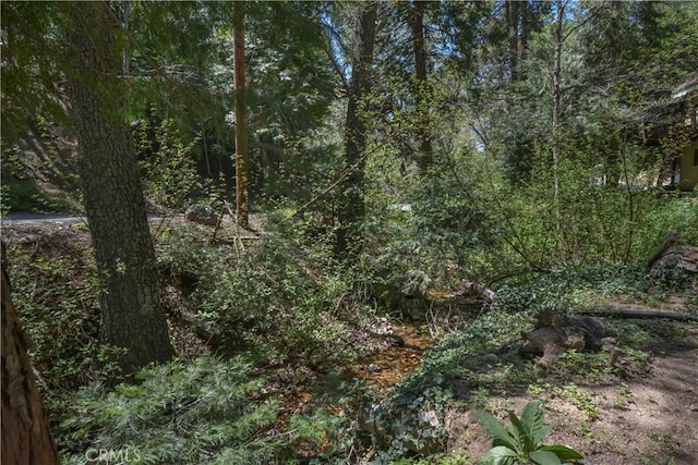 230 Fremont Rd, Lake Arrowhead, CA 92352 - view of tree filled area
