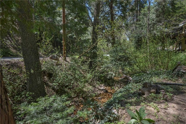 230 Fremont Rd, Lake Arrowhead, CA 92352 - photo 16