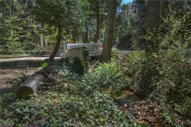 230 Fremont Rd, Lake Arrowhead, CA 92352 - photo 3