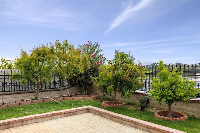 view of yard with a fenced backyard and a patio area