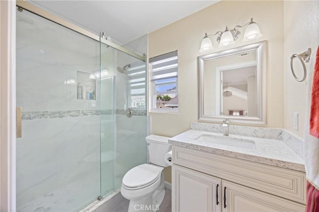 bathroom featuring vanity, toilet, and a shower stall