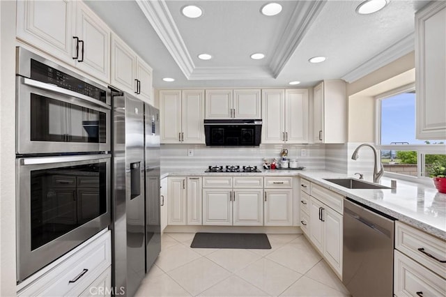 kitchen featuring appliances with stainless steel finishes, a sink, decorative backsplash, a tray ceiling, and ornamental molding