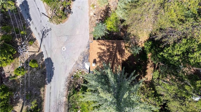 26131 Lake Forest Dr, Twin Peaks, CA 92391 - view of subject property