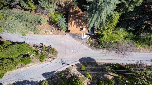 26131 Lake Forest Dr, Twin Peaks, CA 92391 - view of subject property