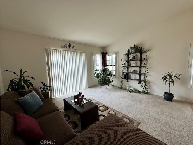 view of carpeted living area