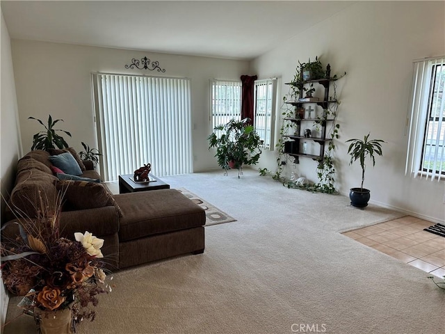 view of carpeted living area