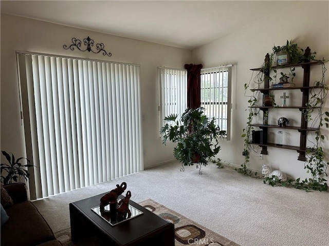 sitting room with carpet floors
