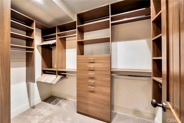 4301/2 Heliotrope Ave, Corona Del Mar, CA 92625 - walk in closet with carpet flooring