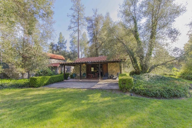 28831 Spruce Rd, Pine Valley, CA 91962 - view of green lawn with a patio area