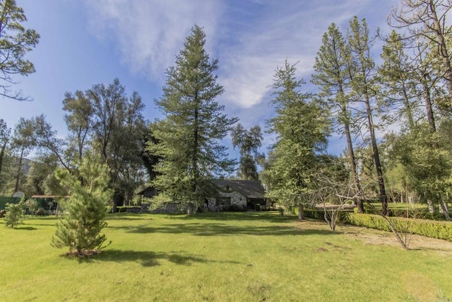 28831 Spruce Rd, Pine Valley, CA 91962 - view of grassy yard