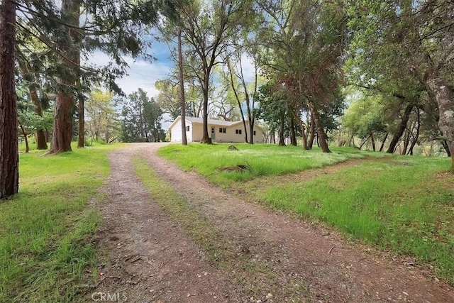 view of road featuring dirt driveway