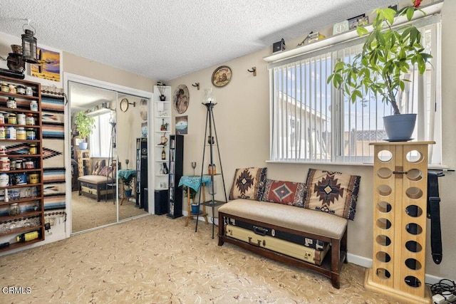 sitting room with a textured ceiling