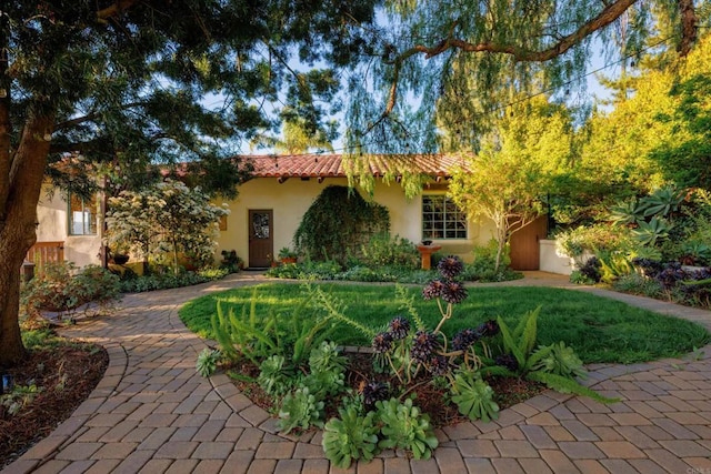 3351 Red Mountain Heights Dr, Fallbrook, CA 92028 - view of front of home with a tile roof and stucco siding