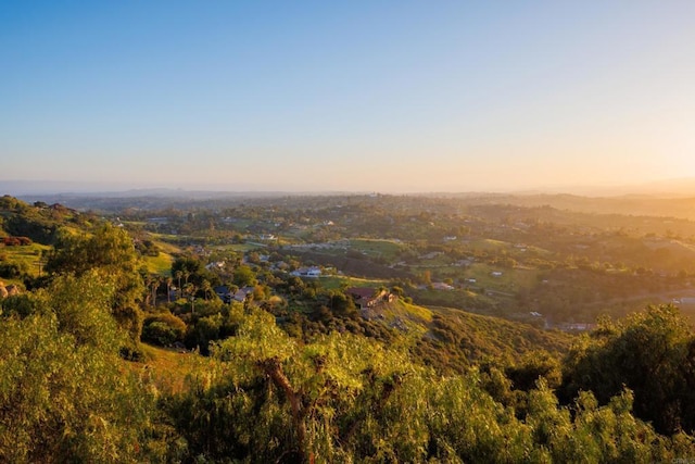 3351 Red Mountain Heights Dr, Fallbrook, CA 92028 - drone / aerial view