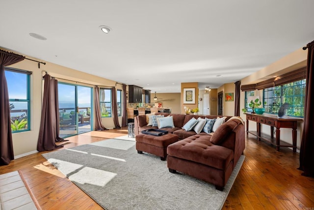 3351 Red Mountain Heights Dr, Fallbrook, CA 92028 - living area featuring hardwood / wood-style flooring