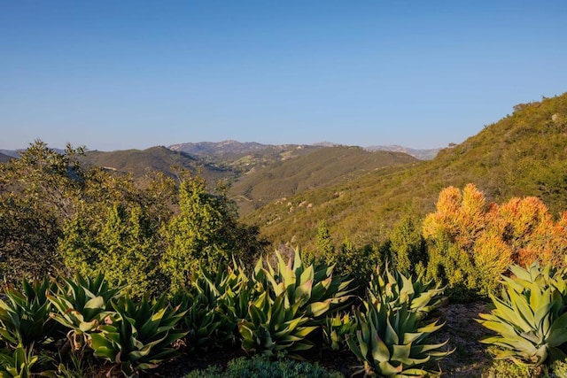 3351 Red Mountain Heights Dr, Fallbrook, CA 92028 - view of mountain background