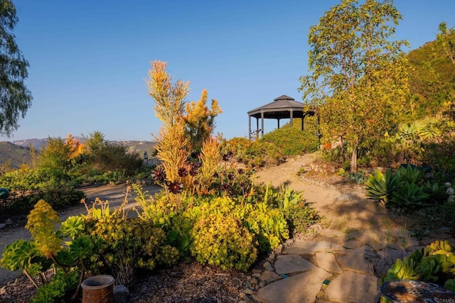 3351 Red Mountain Heights Dr, Fallbrook, CA 92028 - view of yard featuring a gazebo
