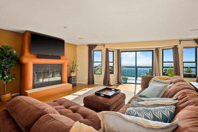 3351 Red Mountain Heights Dr, Fallbrook, CA 92028 - living area with wood finished floors and a glass covered fireplace