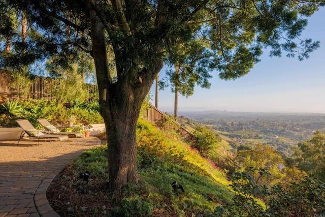 3351 Red Mountain Heights Dr, Fallbrook, CA 92028 - view of yard featuring a patio