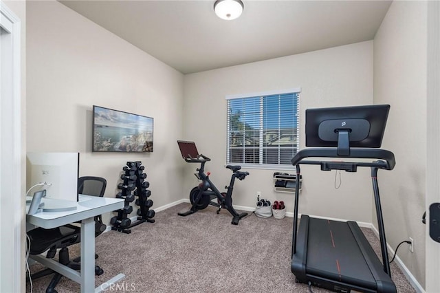 exercise area featuring carpet flooring and baseboards