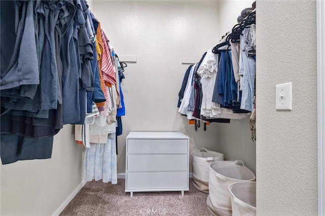 walk in closet featuring carpet floors