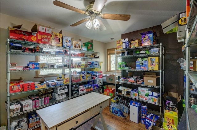 storage featuring a ceiling fan