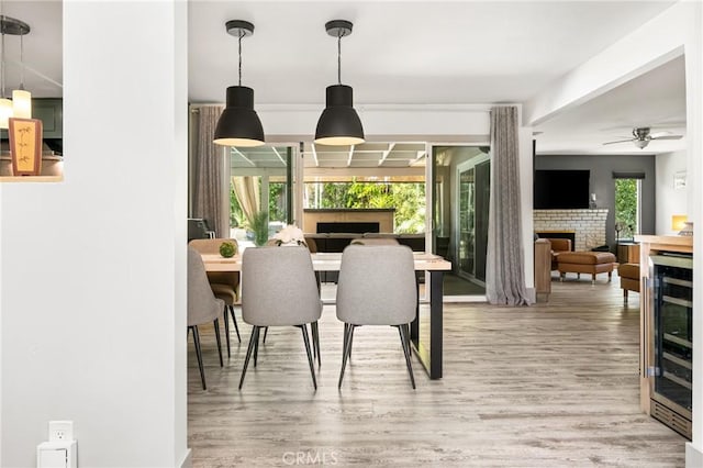 dining area featuring a fireplace, wood finished floors, wine cooler, and a ceiling fan