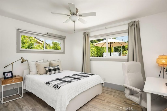 bedroom featuring a ceiling fan, multiple windows, and wood finished floors