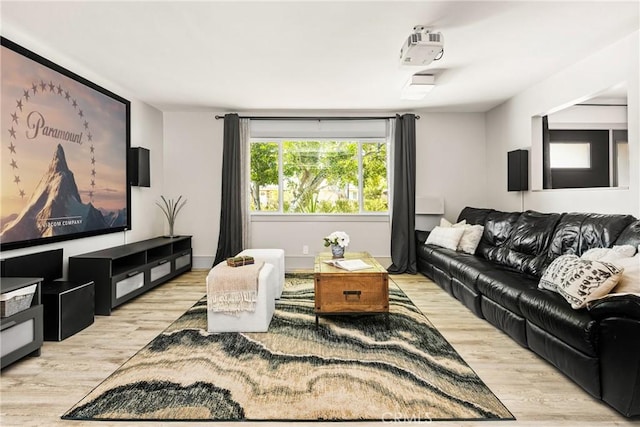 living area featuring wood finished floors