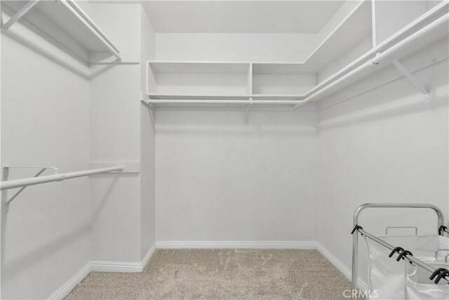 walk in closet featuring carpet