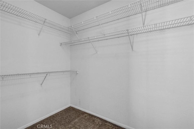 11 Santa Cruz Aisle, Irvine, CA 92606 - walk in closet with dark carpet