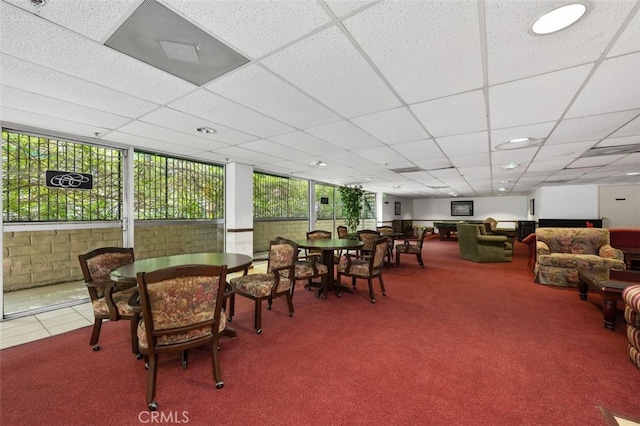 dining area featuring carpet and a paneled ceiling
