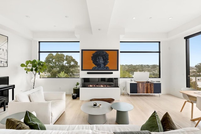 living area featuring a glass covered fireplace and wood finished floors