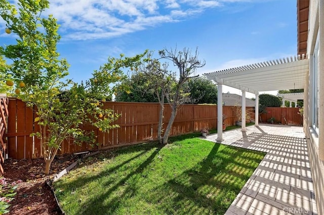 view of yard with a pergola, a fenced backyard, and a patio area