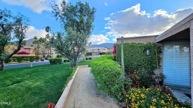 48940 Phlox Pl, Palm Desert, CA 92260 - view of property's community featuring a yard, a residential view, and a mountain view