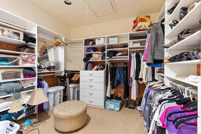 spacious closet featuring attic access and carpet flooring
